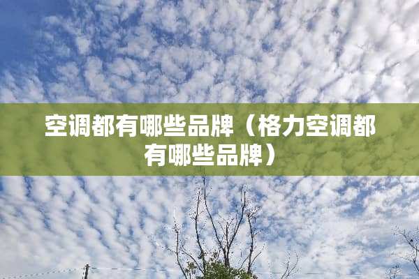 空调都有哪些品牌（格力空调都有哪些品牌）