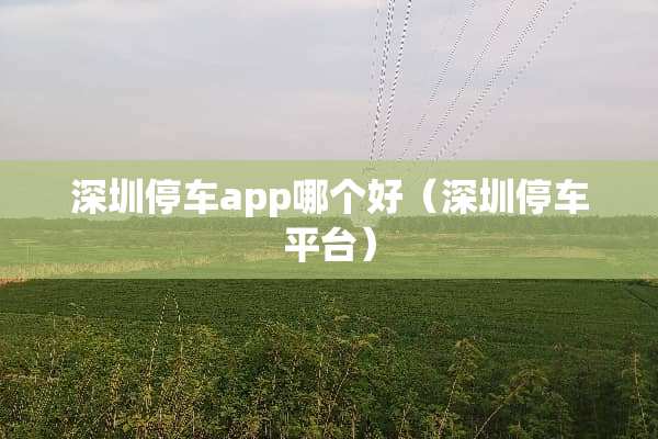 深圳停车app哪个好（深圳停车平台）