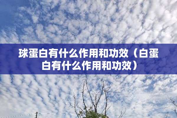 球蛋白有什么作用和功效（白蛋白有什么作用和功效）