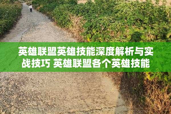 英雄联盟英雄技能深度解析与实战技巧 英雄联盟各个英雄技能