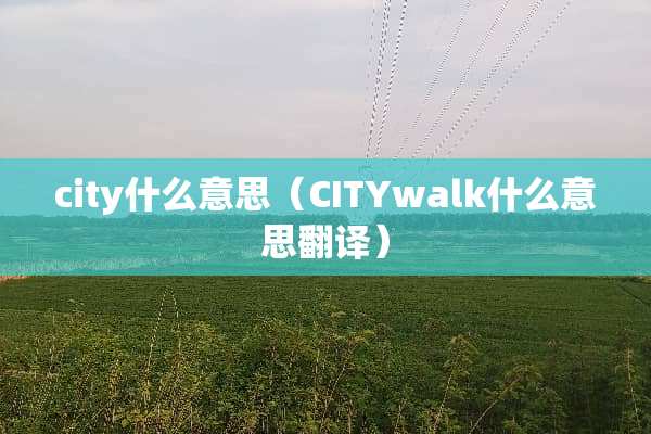 city什么意思（CITYwalk什么意思翻译）