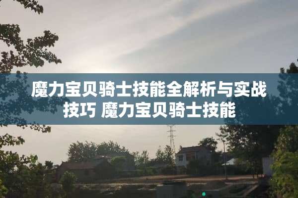 魔力宝贝骑士技能全解析与实战技巧 魔力宝贝骑士技能