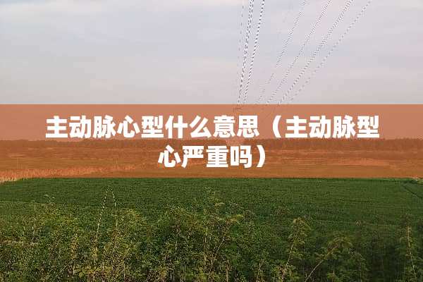主动脉心型什么意思（主动脉型心严重吗）