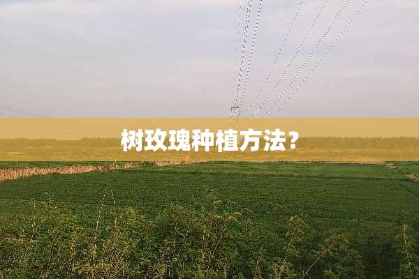 树玫瑰种植方法？