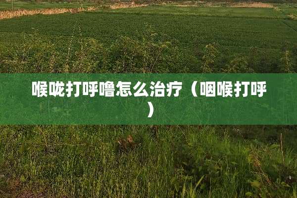 喉咙打呼噜怎么治疗（咽喉打呼）