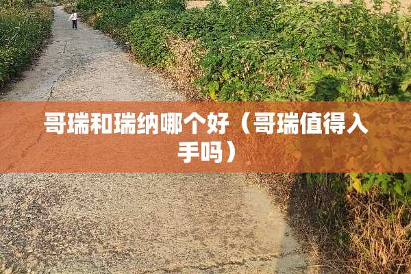 哥瑞和瑞纳哪个好（哥瑞值得入手吗）