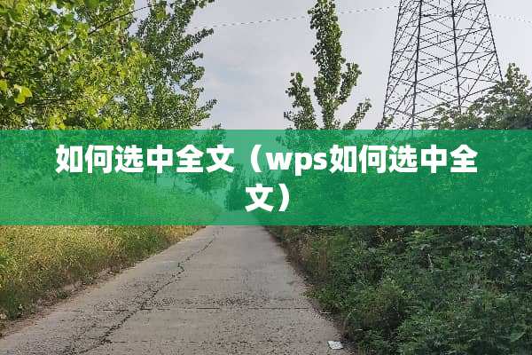 如何选中全文（wps如何选中全文）
