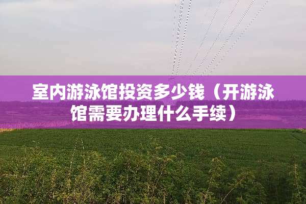 室内游泳馆投资多少钱（开游泳馆需要办理什么手续）