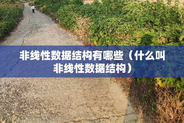 非线性数据结构有哪些（什么叫非线性数据结构）