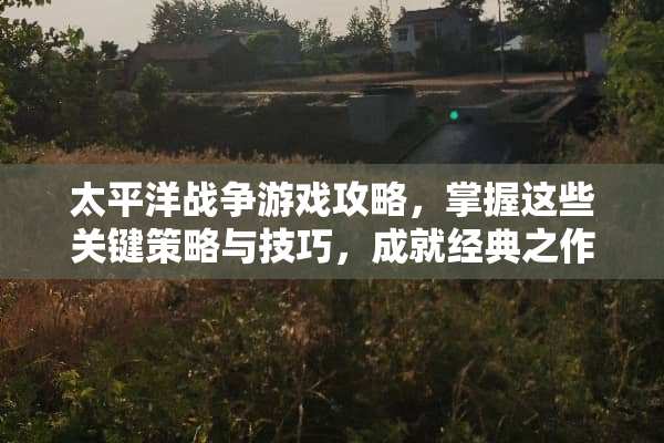 太平洋战争游戏攻略，掌握这些关键策略与技巧，成就经典之作！ 太平洋战争游戏攻略
