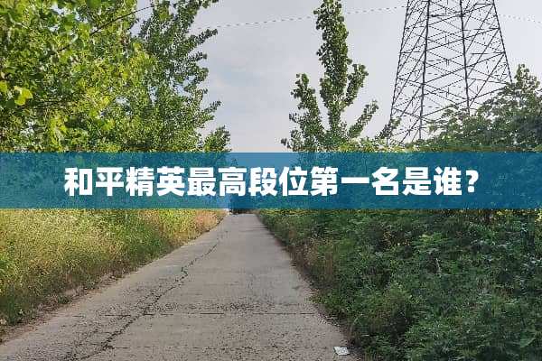 和平精英最高段位第一名是谁？