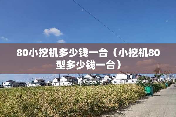 80小挖机多少钱一台（小挖机80型多少钱一台）