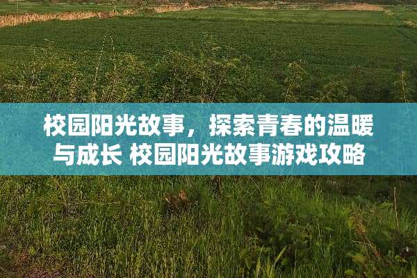 校园阳光故事，探索青春的温暖与成长 校园阳光故事游戏攻略