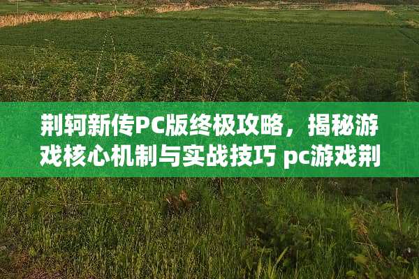 荆轲新传PC版终极攻略，揭秘游戏核心机制与实战技巧 pc游戏荆轲新传攻略