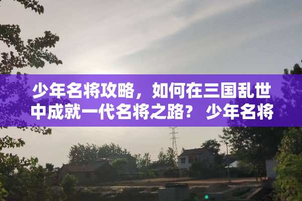 少年名将攻略，如何在三国乱世中成就一代名将之路？ 少年名将攻略