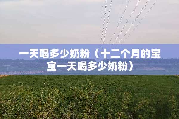 一天喝多少奶粉（十二个月的宝宝一天喝多少奶粉）