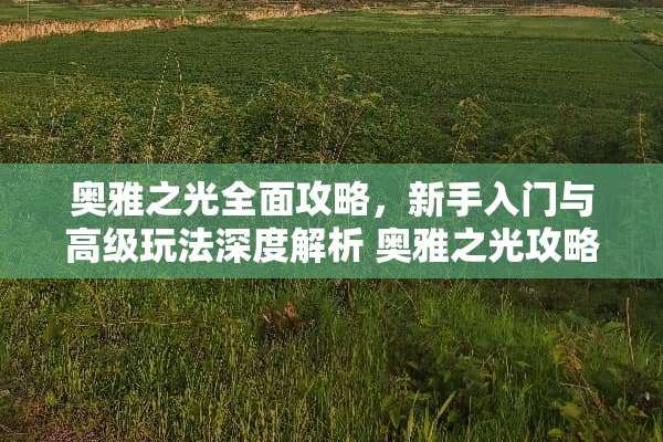 奥雅之光全面攻略，新手入门与高级玩法深度解析 奥雅之光攻略