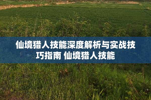 仙境猎人技能深度解析与实战技巧指南 仙境猎人技能
