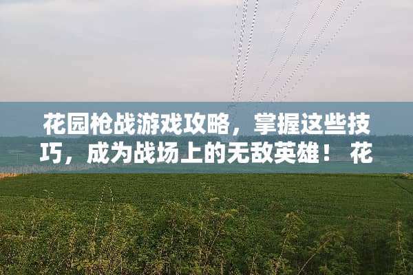 花园*战游戏攻略，掌握这些技巧，成为战场上的无敌英雄！ 花园*战游戏攻略