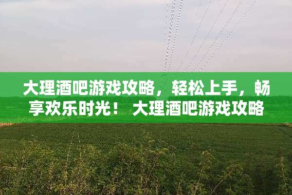 大理酒吧游戏攻略，轻松上手，畅享欢乐时光！ 大理酒吧游戏攻略