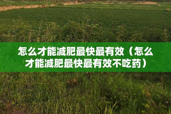怎么才能减肥最快最有效（怎么才能减肥最快最有效不吃药）