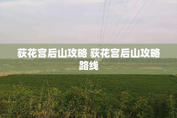 荻花宫后山攻略 荻花宫后山攻略路线