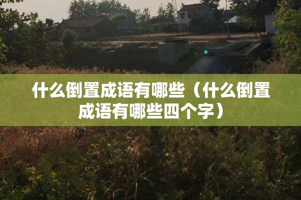 什么倒置成语有哪些（什么倒置成语有哪些四个字）