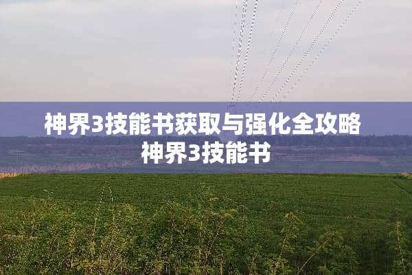 神界3技能书获取与强化全攻略 神界3技能书
