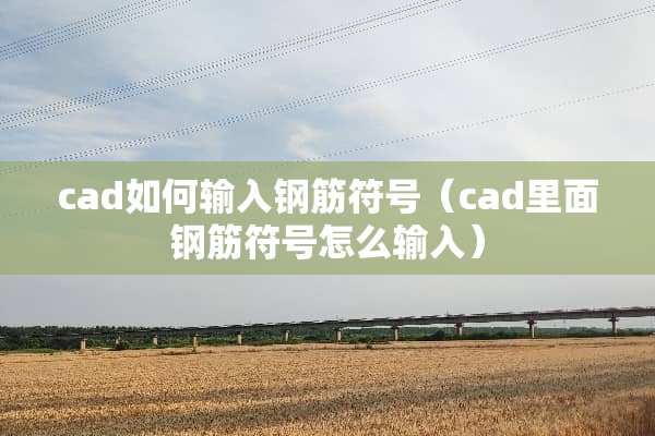 cad如何输入钢筋符号（cad里面钢筋符号怎么输入）