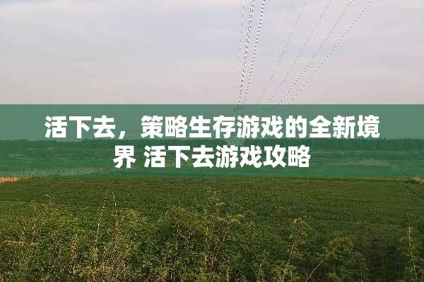 活下去，策略生存游戏的全新境界 活下去游戏攻略