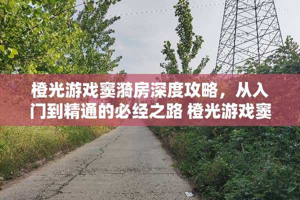 橙光游戏窦漪房深度攻略，从入门到精通的必经之路 橙光游戏窦漪房攻略