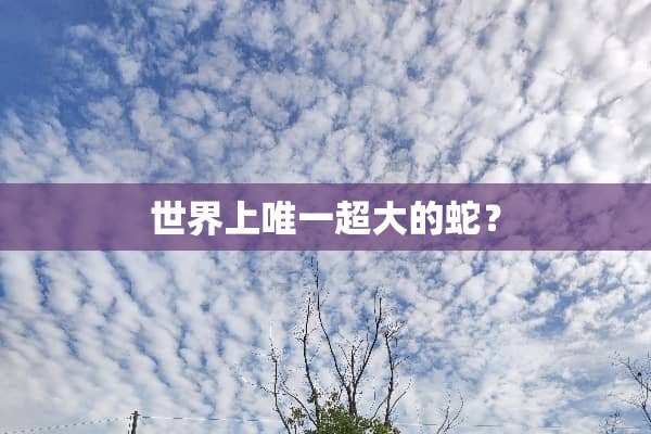 世界上唯一超大的蛇？