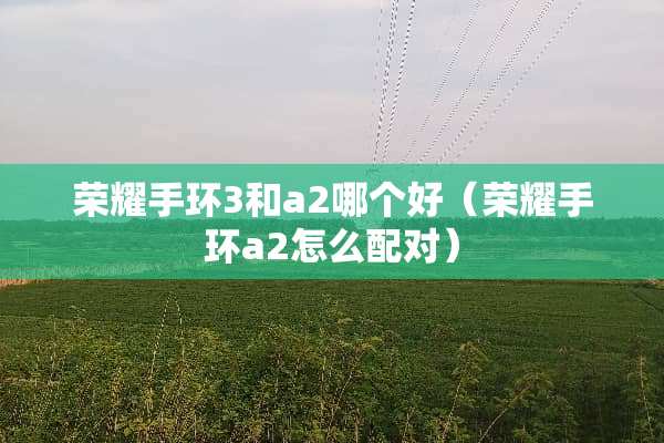 荣耀手环3和a2哪个好（荣耀手环a2怎么配对）