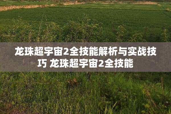 龙珠超宇宙2全技能解析与实战技巧 龙珠超宇宙2全技能