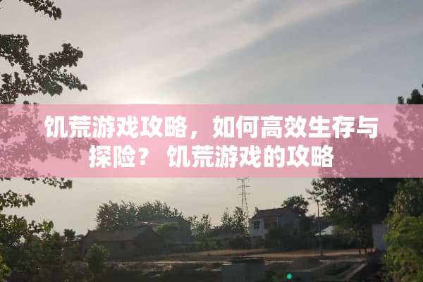 饥荒游戏攻略，如何高效生存与探险？ 饥荒游戏的攻略