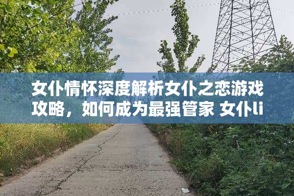女仆情怀深度解析女仆之恋游戏攻略，如何成为最强管家 女仆lief游戏攻略