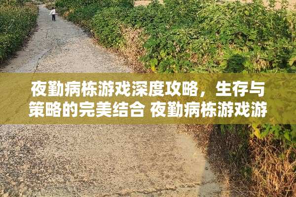 ****游戏深度攻略，生存与策略的完美结合****游戏游戏攻略