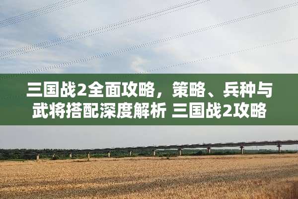 三国战2全面攻略，策略、兵种与武将搭配深度解析 三国战2攻略