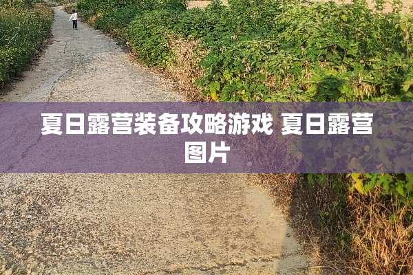 夏日露营装备攻略游戏 夏日露营图片