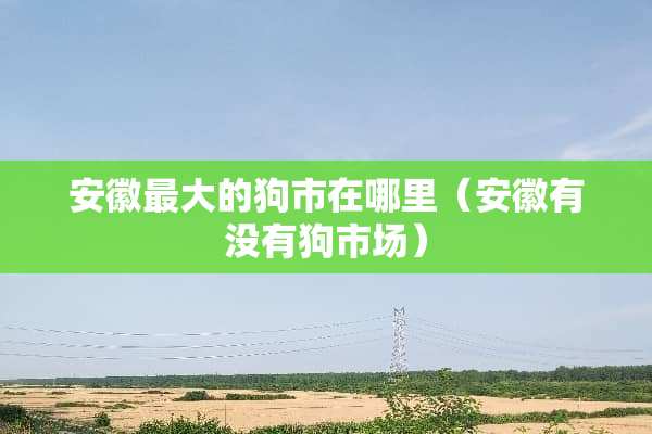 安徽最大的狗市在哪里（安徽有没有狗市场）