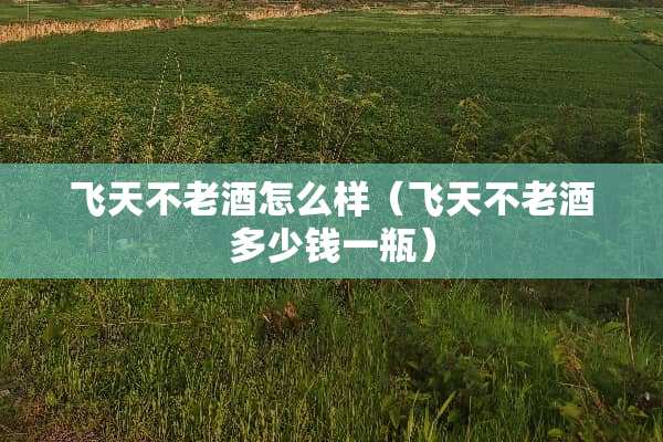 飞天不老酒怎么样（飞天不老酒多少钱一瓶）