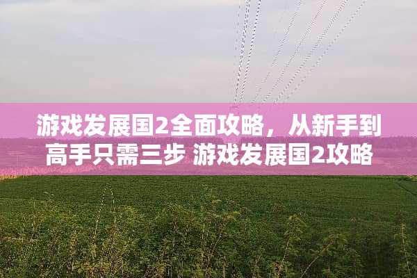 游戏发展国2全面攻略，从新手到高手只需三步 游戏发展国2攻略