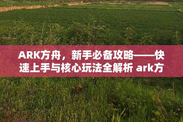 ARK方舟，新手必备攻略——快速上手与核心玩法全解析 ark方舟游戏攻略