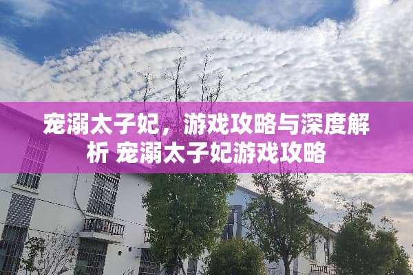 宠溺太子妃，游戏攻略与深度解析 宠溺太子妃游戏攻略