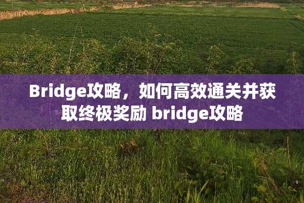 Bridge攻略，如何高效通关并获取终极奖励 bridge攻略