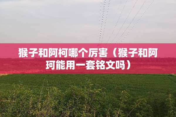 猴子和阿柯哪个厉害（猴子和阿珂能用一套铭文吗）
