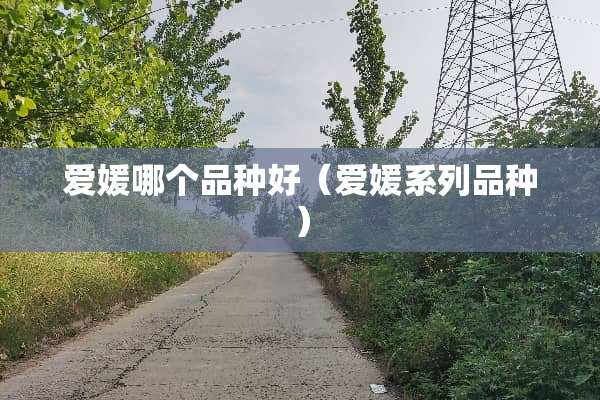 爱媛哪个品种好（爱媛系列品种）