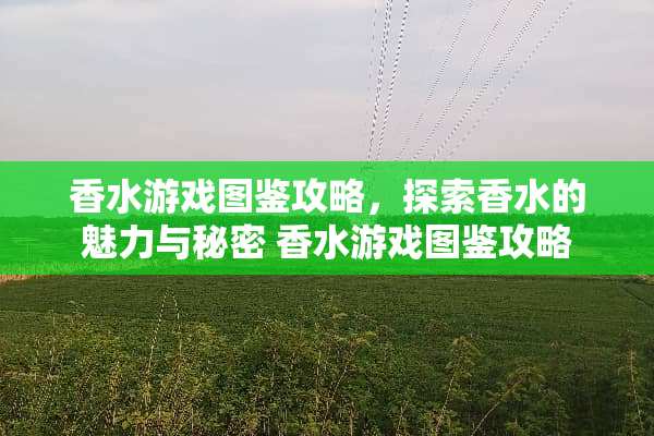 香水游戏图鉴攻略，探索香水的魅力与秘密 香水游戏图鉴攻略