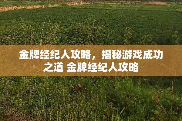 金牌经纪人攻略，揭秘游戏成功之道 金牌经纪人攻略