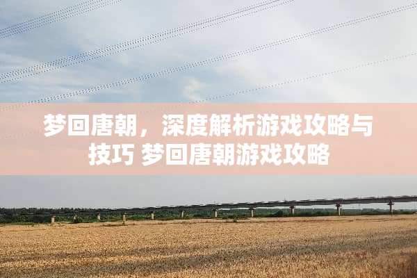 梦回唐朝，深度解析游戏攻略与技巧 梦回唐朝游戏攻略